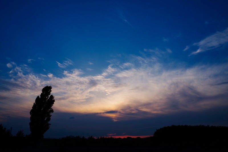 梅雨の夕焼け空とシンボルツリーの写真