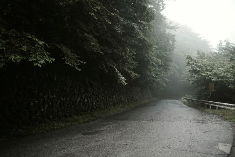 霧に包まれる林道の写真