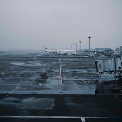 羽田空港に駐機する飛行機たちの写真