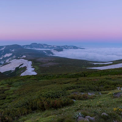 夜明けを迎える大雪山の稜線の写真