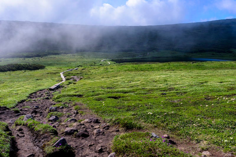 忠別岳へと向かう登山道の写真