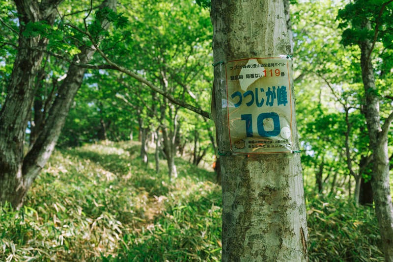 ツツジが峰通り案内板の写真