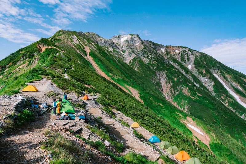 五竜山荘にテントを張る人々と五竜岳の写真