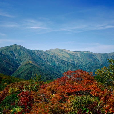 紅葉の朝日連峰（大朝日岳）の写真