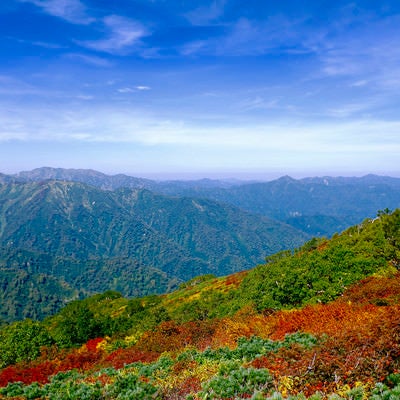 黄葉の山肌と朝日連峰の山々（大朝日岳）の写真