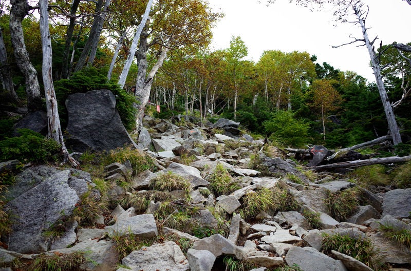 ゴツゴツした岩場を登る男体山の登山道の写真