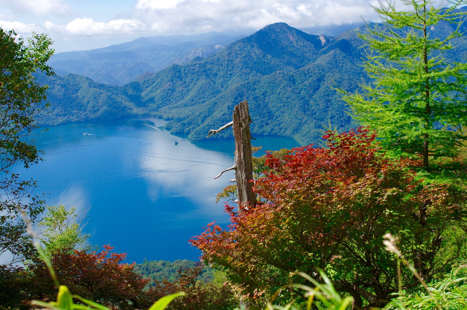 「紅葉の木々と中禅寺湖（男体山）」の写真