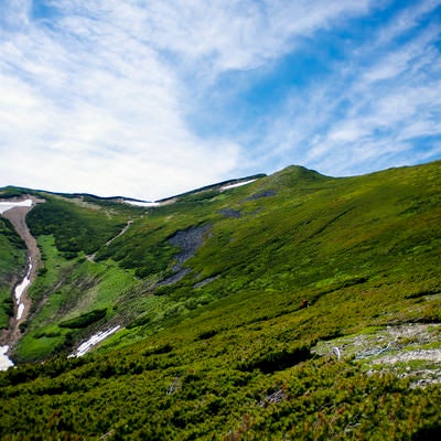 ハイマツ帯が広がる表銀座登山道（常念岳）の写真