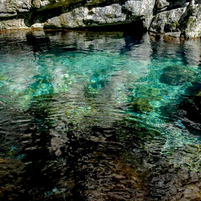 透明度の高いシシ淵を流れる清流（大杉谷）の写真