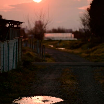 夕方の水たまりの写真