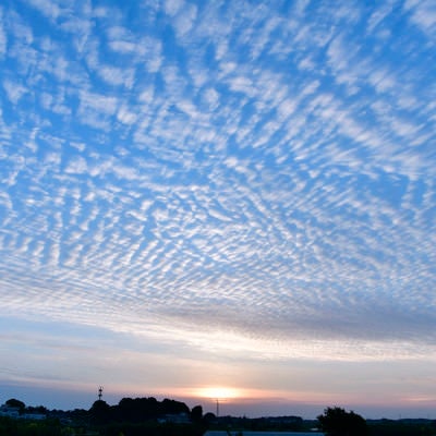 太陽に照らされるうろこ雲の写真