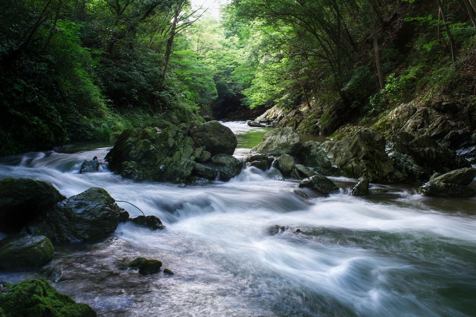 「埼玉県の三波渓谷」の写真