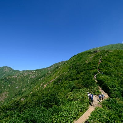 山頂へと続く登山道の写真