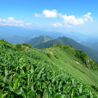 霞がかる稜線と登山道の写真