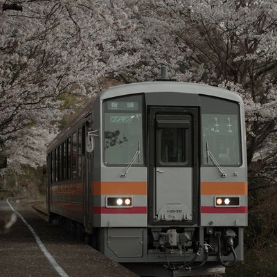 JR三浦駅に停車する因美線の写真