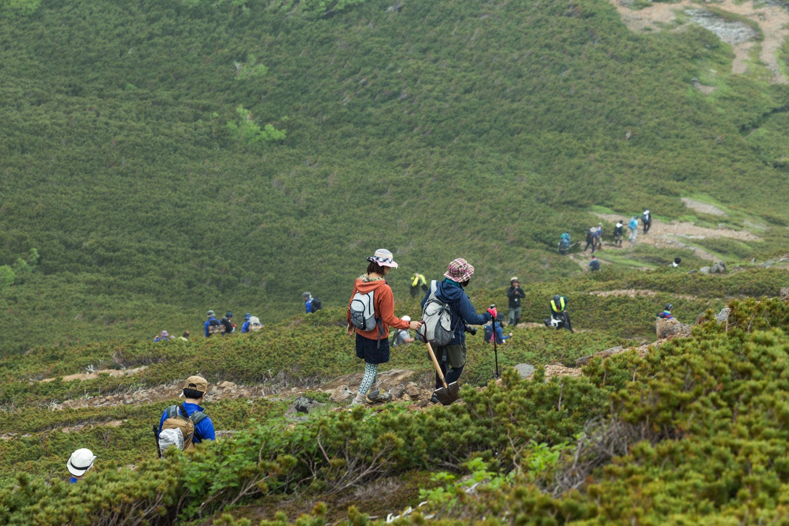 「乗鞍新登山道を歩く登山者達」の写真