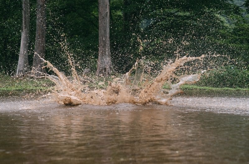 ○✕クイズで不正解の方（泥水バシャーン）の写真