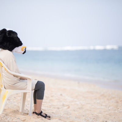 宮古島の美しい海を見て失恋の傷を癒やす牛ガールの写真