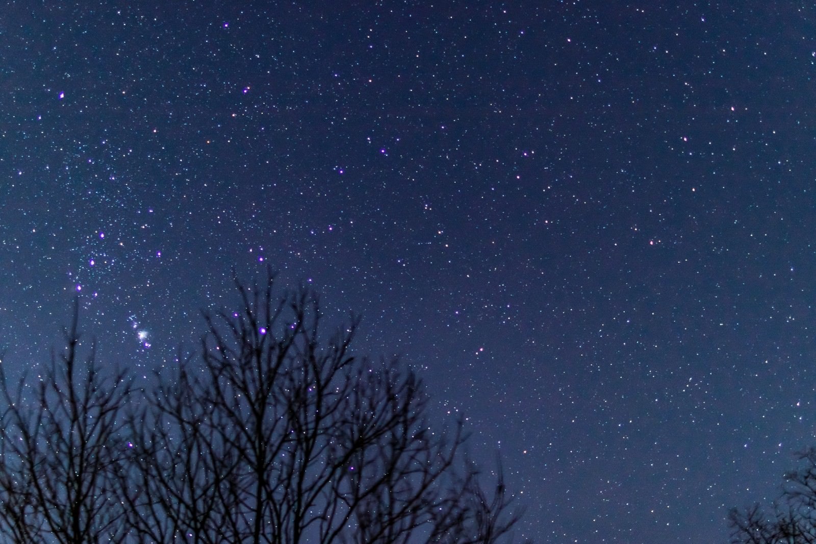 「冬の星空」の写真