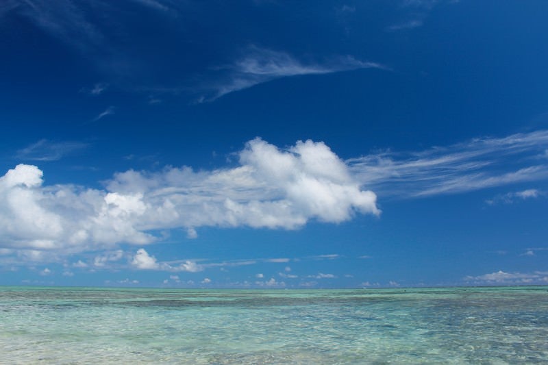 夏の透き通る海の写真