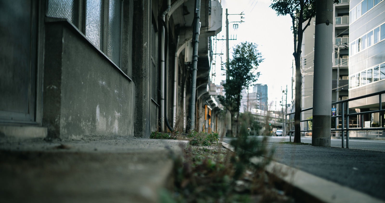 「高架下の店舗と歩道」の写真