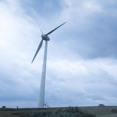 与那国島の巨大風力発電と馬の写真