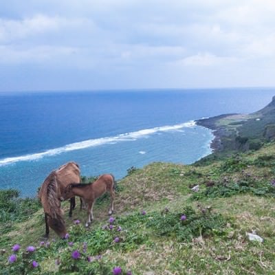 与那国島東崎展望台の写真