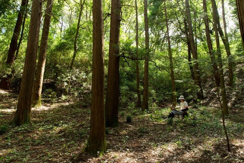 新緑のマイナスイオンを感じながら仕事するリモートワーカーの写真