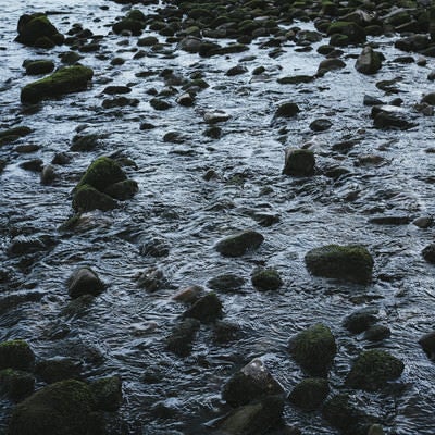 不気味な予感がする浅瀬の写真