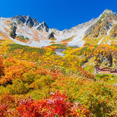 日本一の紅葉と言われる北アルプス涸沢カールのピークの写真