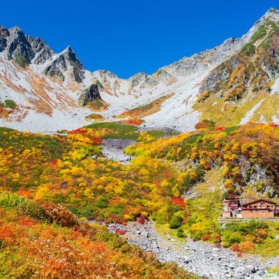 涸沢ヒュッテから見る涸沢カールの紅葉最盛期の写真