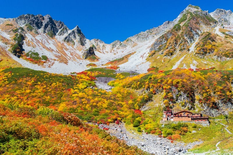 涸沢ヒュッテから見る涸沢カールの紅葉最盛期の写真