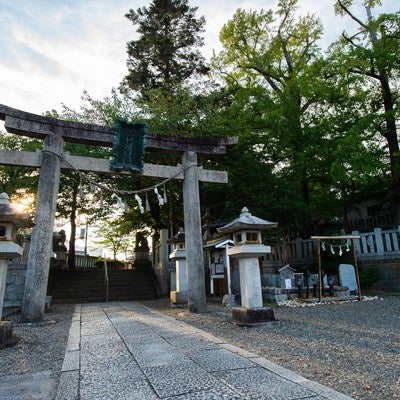 玉前神社の鳥居に射す光（千葉県一宮町）の写真