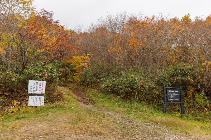 沼尻ルートからの秋の紅葉、安達太良山登山の始まりの写真