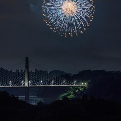 三春町の夜を飾る花火の写真