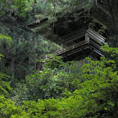 東堂山満福寺の静かな境内と鐘楼の写真