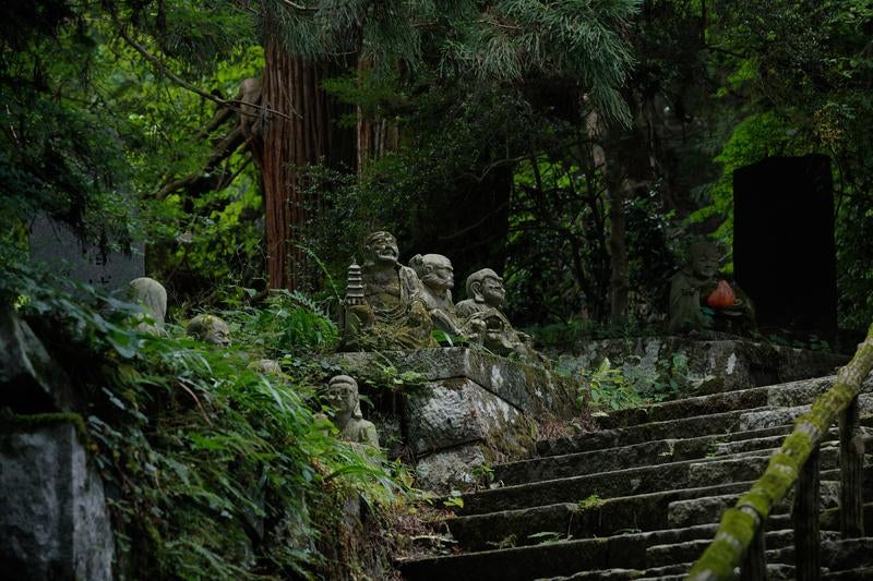 東堂山満福の空を仰ぐ羅漢石像の写真