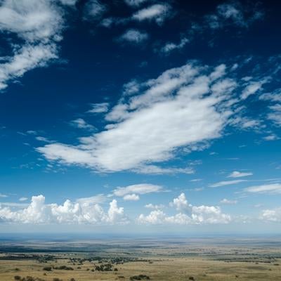 広がる大地と青空の写真