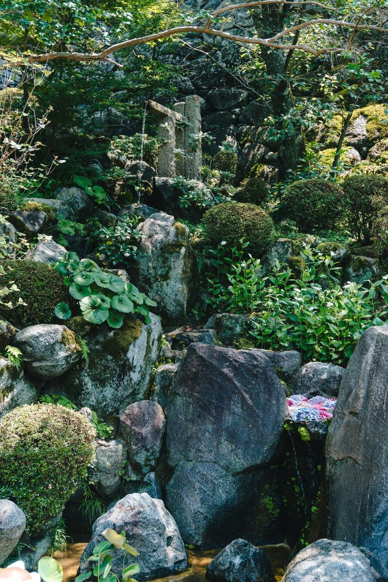 緑に囲まれ流れ落ちる一条の水の写真