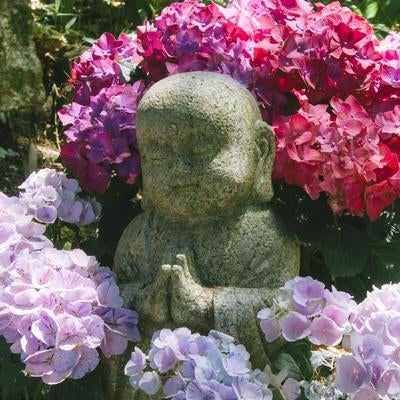 紫陽花に囲まれて立つお地蔵様の写真