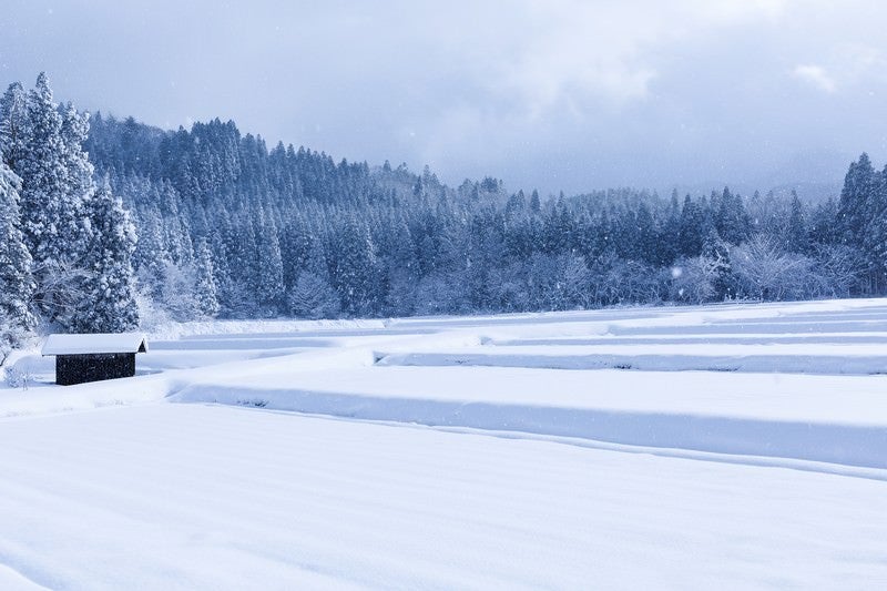 雪が降り積もる山里の写真