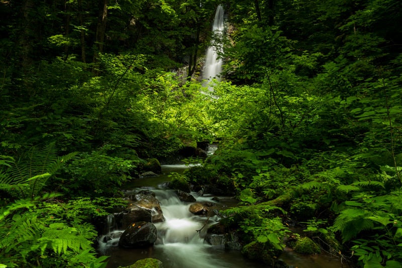 友情の滝（田沢湖高原）の写真