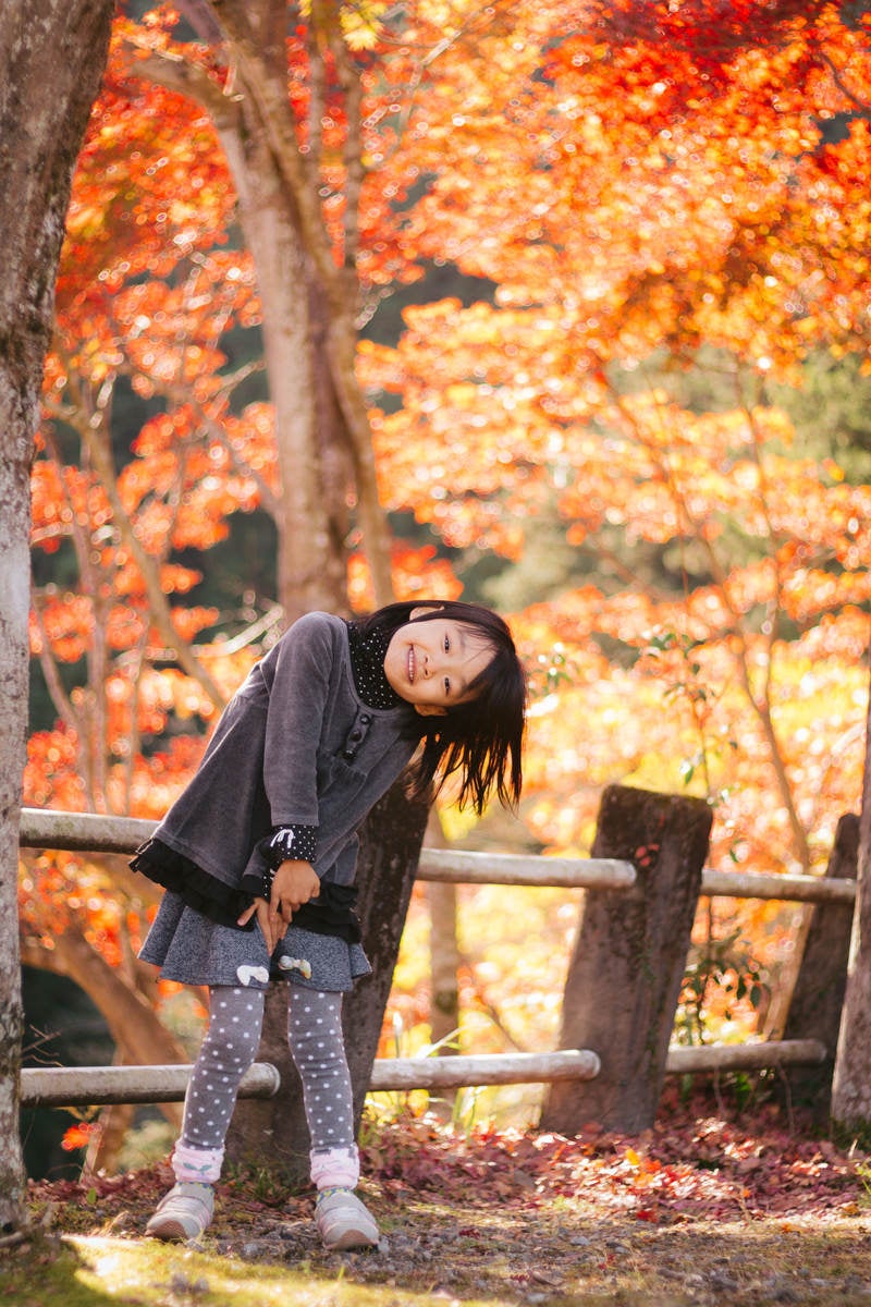 紅葉と女の子の写真