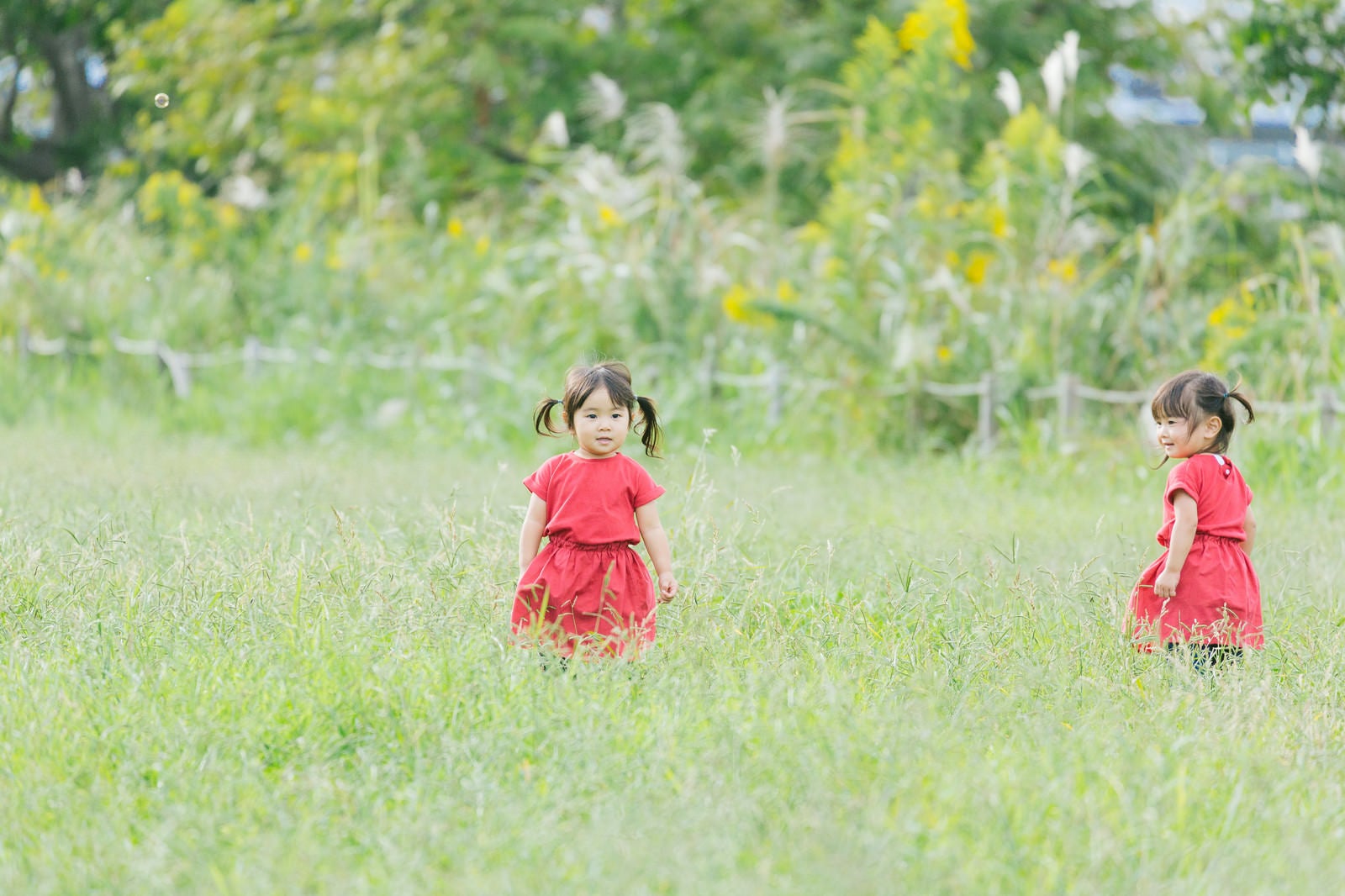 「広い空き地と双子の女の子」の写真［モデル：あおみどり］