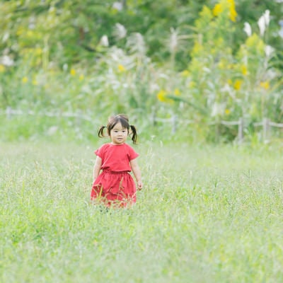 広い空き地と双子の女の子の写真