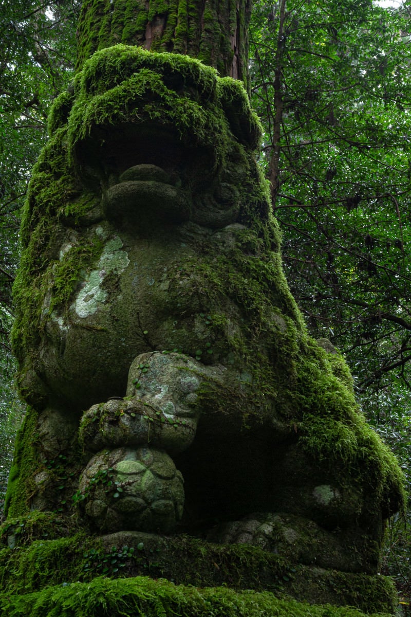 森の中の苔に覆われた狛犬の写真