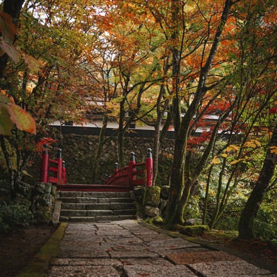 横蔵寺（よこくらじ）の医王橋の写真