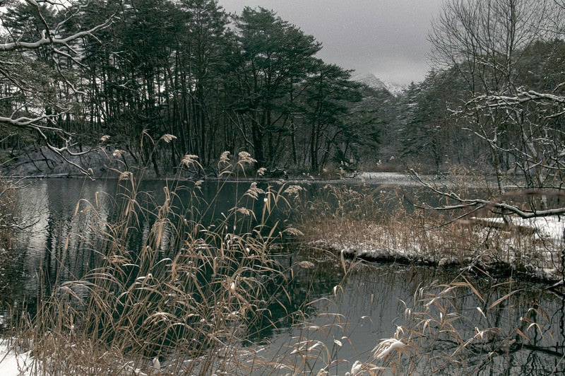 降雪と湖畔の写真