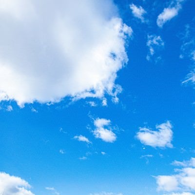 雲浮かぶ青空を飛び交う鳥の写真