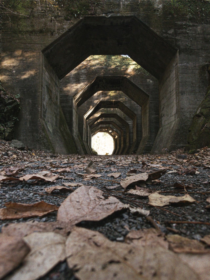 落ち葉の奥に構える八角トンネルの写真